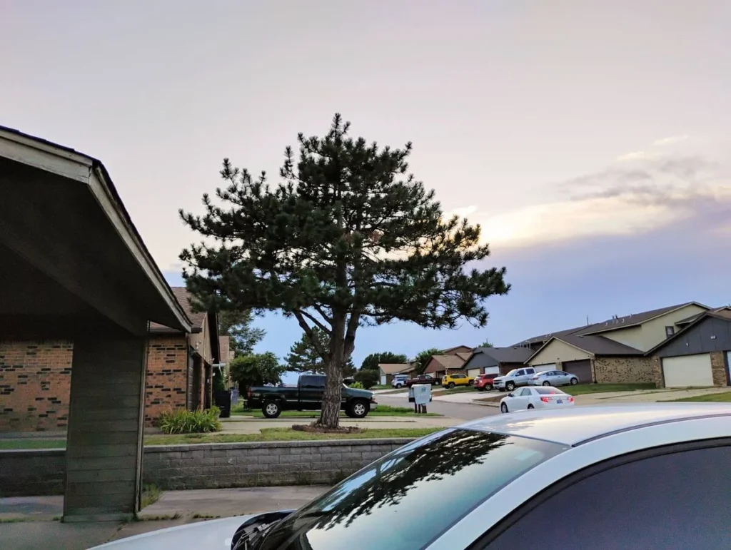 Golden Sunflower’s Apt A1